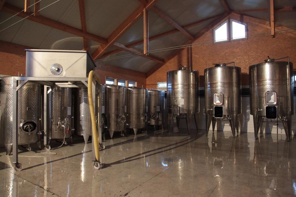 Winzerzimmer - Weingut Tinhof Eisenstadt Exterior photo