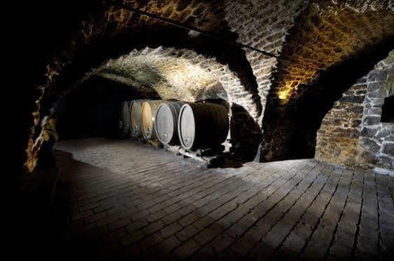 Winzerzimmer - Weingut Tinhof Eisenstadt Exterior photo